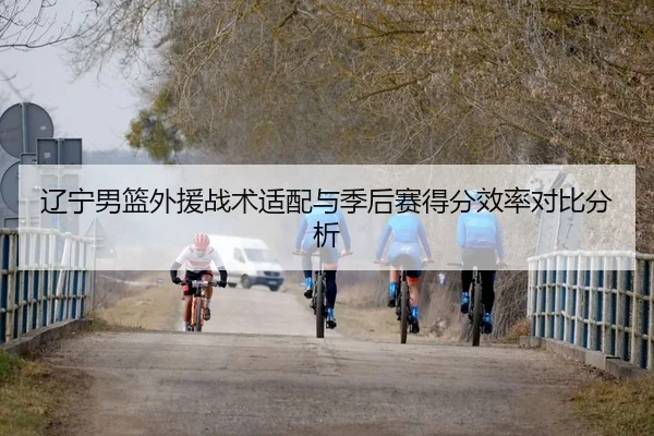 辽宁男篮外援战术适配与季后赛得分效率对比分析
